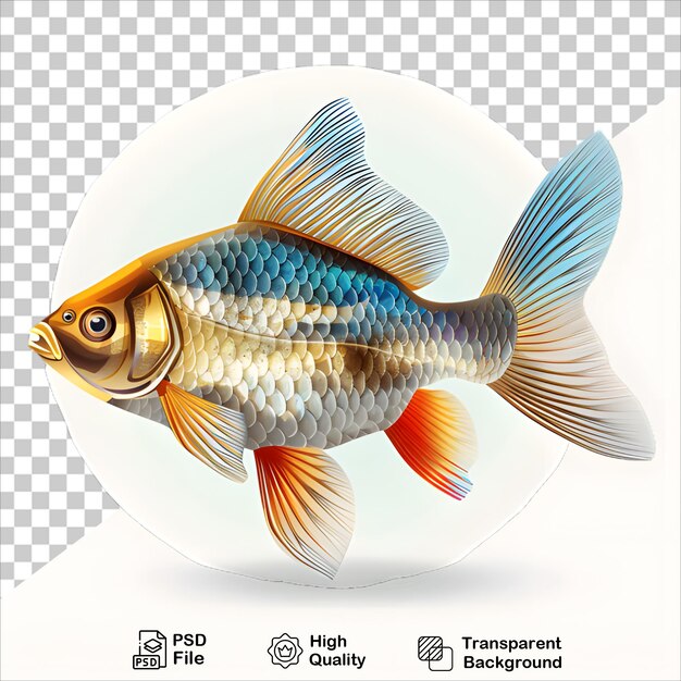 PSD detailed goldfish illustration with clear background