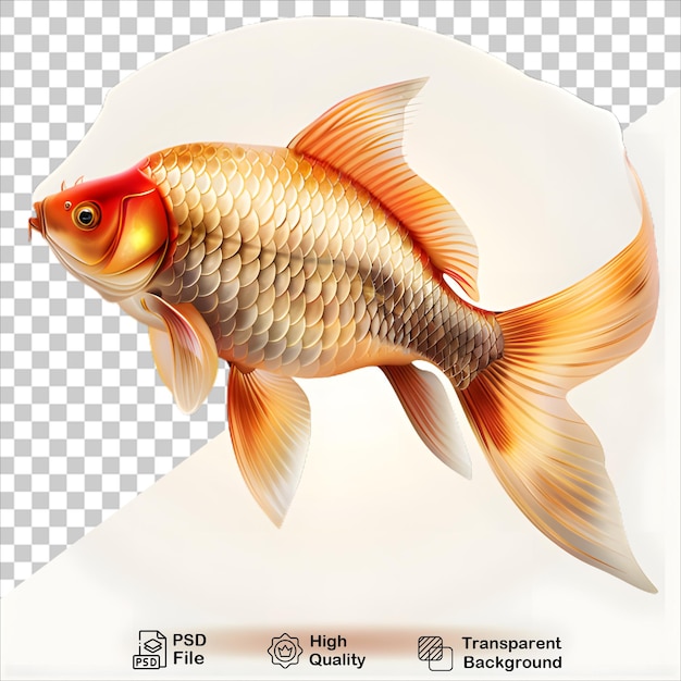 PSD detailed goldfish illustration with clear background