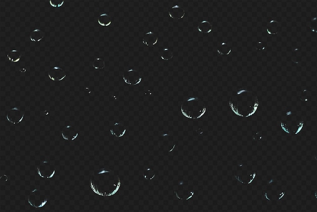 Detailed Raindrops or Bubbles Isolated on Transparent Background