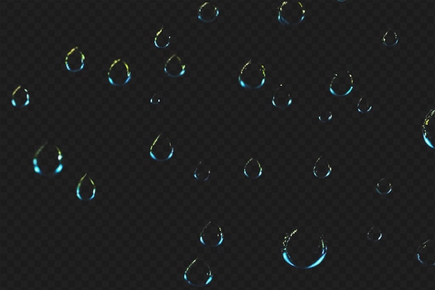 Detailed Raindrops or Bubbles Isolated on Transparent Background