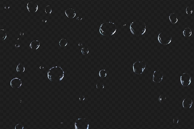 Detailed Raindrops or Bubbles Isolated on Transparent Background