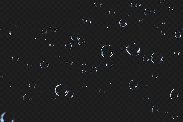 Detailed Raindrops or Bubbles Isolated on Transparent Background