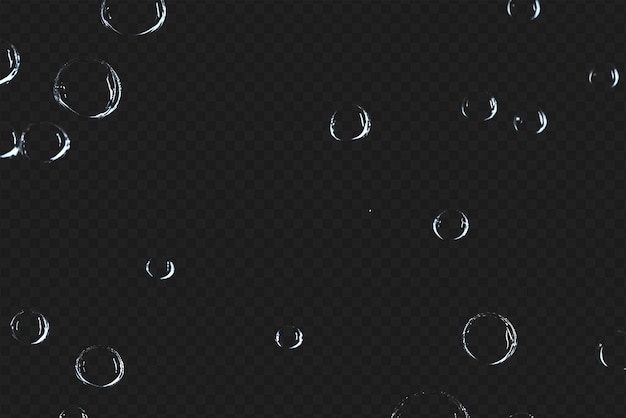 Detailed Raindrops or Bubbles Isolated on Transparent Background