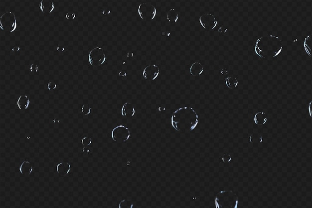 Detailed Raindrops or Bubbles Isolated on Transparent Background