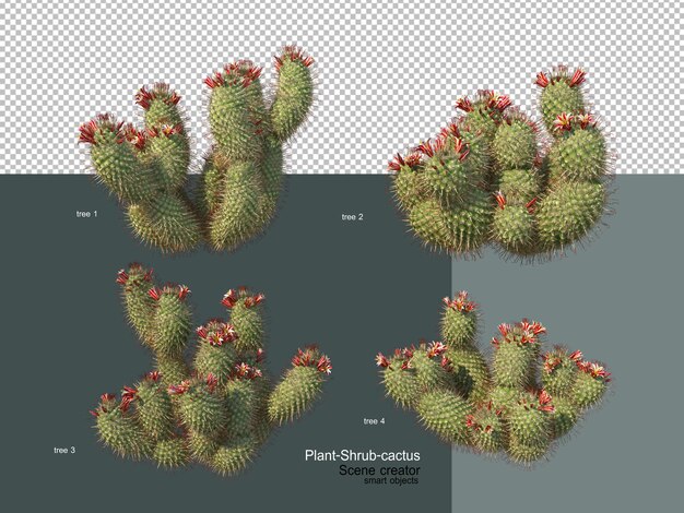 PSD different types of trees and cactus