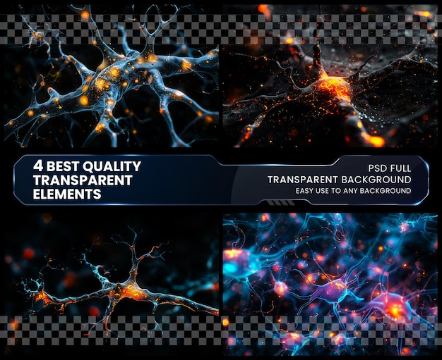 PSD dive into cellular marvels viral karyokinesis neuron on transparent background