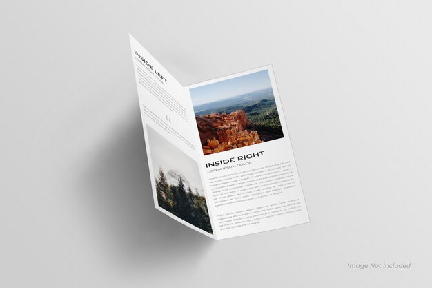 DL Bifold brochure mockup