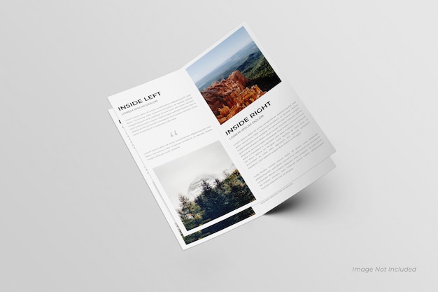 DL Bifold brochures mockup