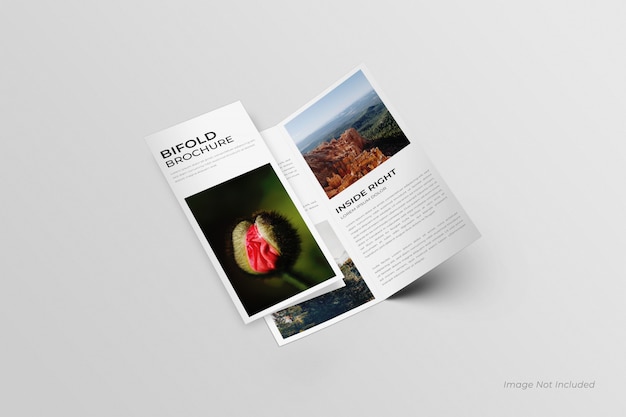 DL Bifold brochures mockup