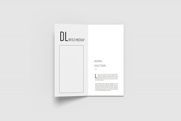 DL bifold mockups