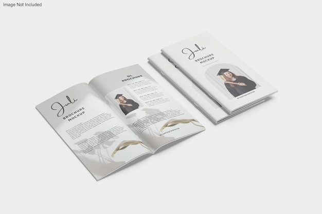 DL Brochure  Magazine Mockup