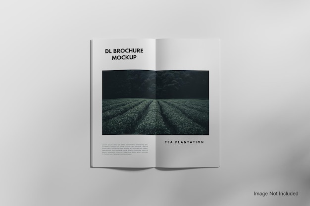 Dl brochure magazine mockup