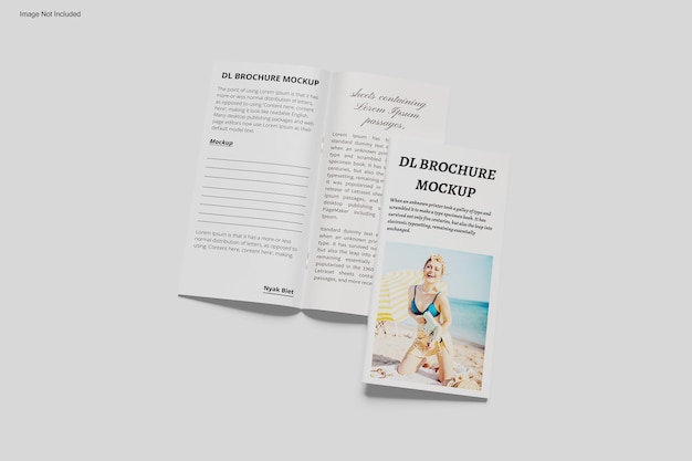 dl brochure mockup