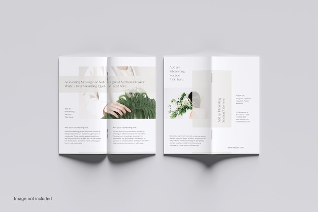 DL Open Brochure Mockup