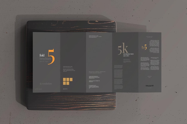 DL Size Five Fold Brochure Mockup