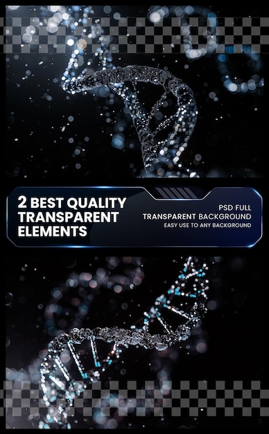 PSD dna molecule structuredna double helixmedical skied on transparent background