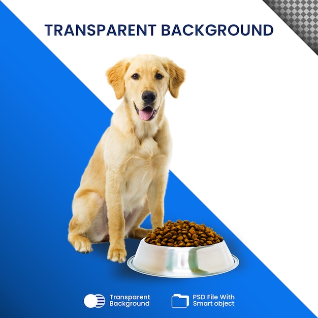 a dog with a bowl of food transparent