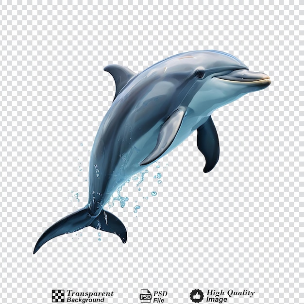 dolphin isolated on transparent background