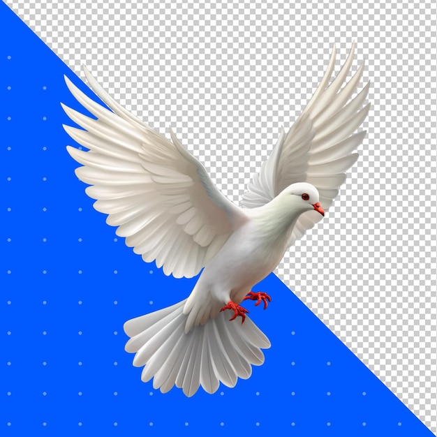 Dove Flying Isolated on transparent Background png