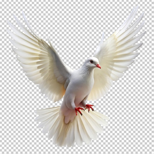 PSD dove flying on transparent background