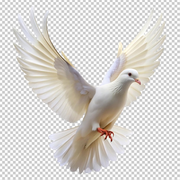 PSD dove flying on transparent background