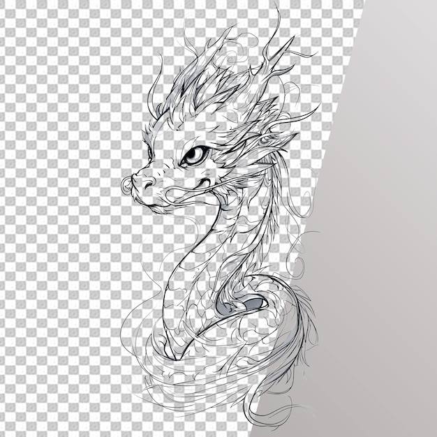 Dragon Coloring Page Isolated on Transparent Background PSD File