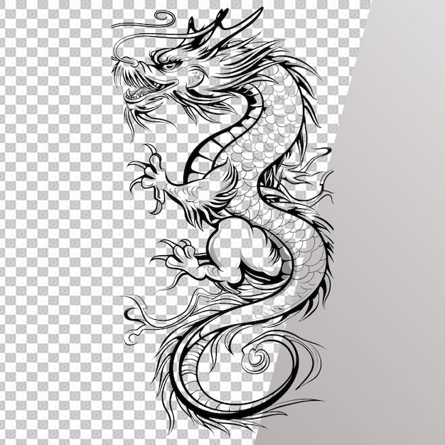 Dragon Coloring Page Isolated on Transparent Background PSD File