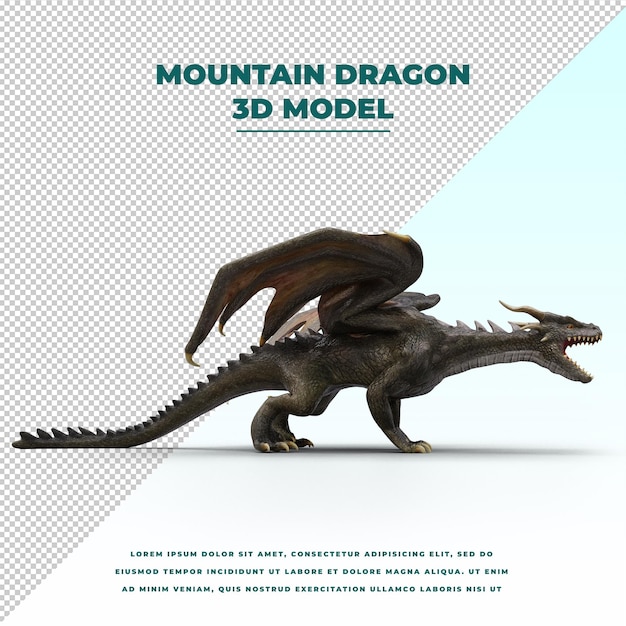 Dragon isolated