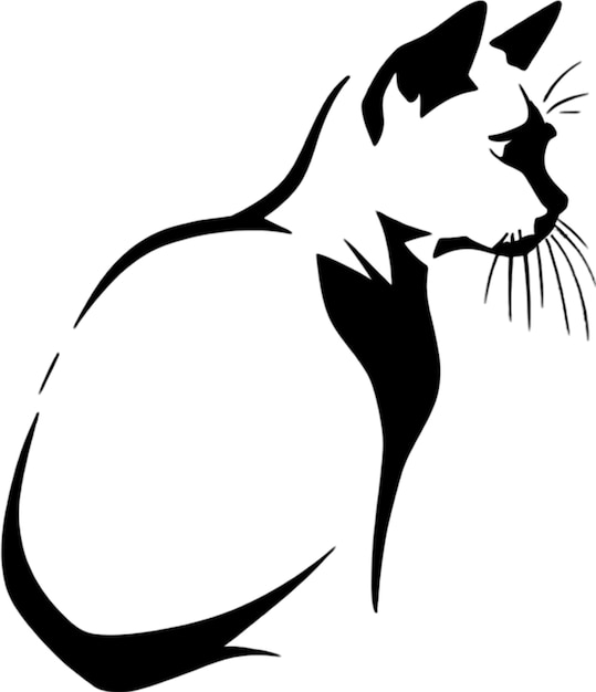 PSD a drawing of a cat that has the word quot whiskers quot on it