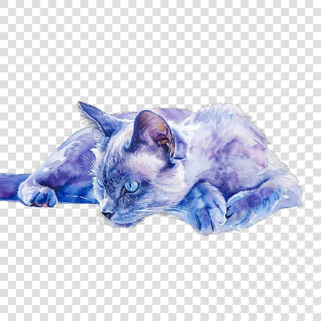 a drawing of a cat with blue eyes is lying on a transparent background