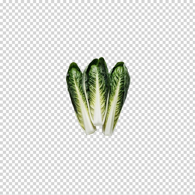 PSD a drawing of a cucumber on a transparent background