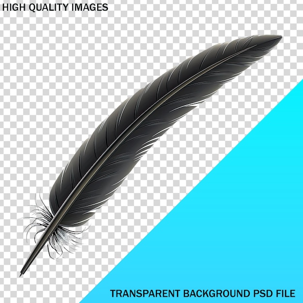 a drawing of a feather with the words high quality