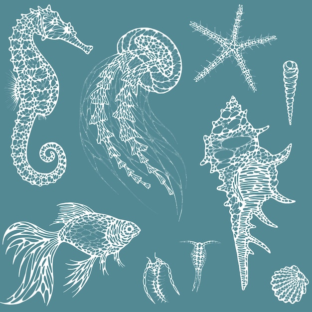 a drawing of fish and sea shells