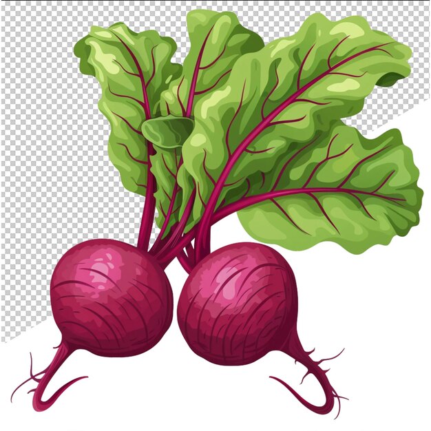 PSD a drawing of radishes with the words quot beets quot on it