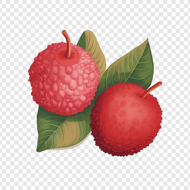 a drawing of a red raspberry with leaves and a white background