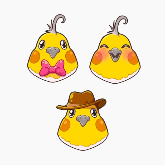 PSD drawing of three cockatiel faces one with a hat one with a tie and the other with leaves in its be