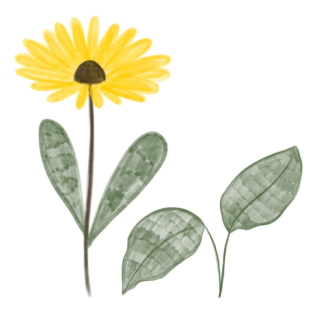 a drawing of a yellow flower with green leaves and the word sunflower