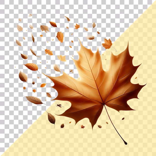 PSD dried autumn leaves in orange colors are floating in air on a transparent background