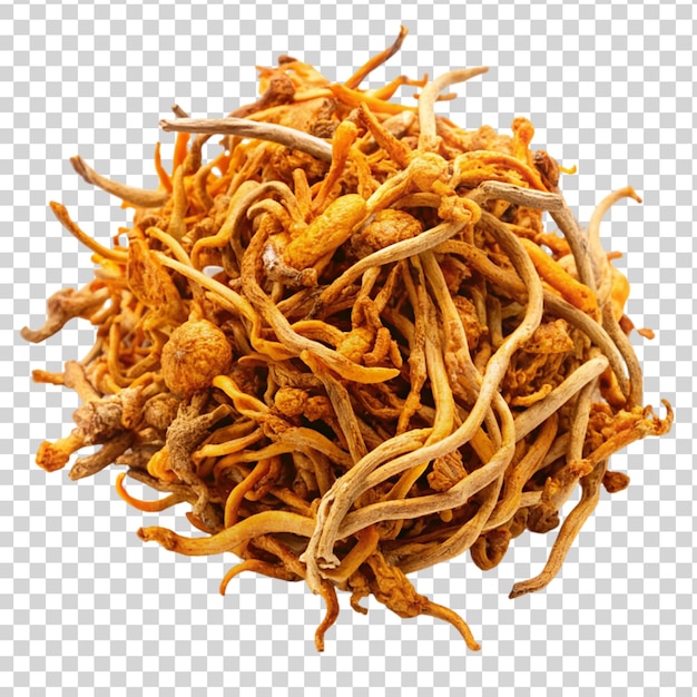 Dried cordyceps militaris mushroom Isolated on transparent background