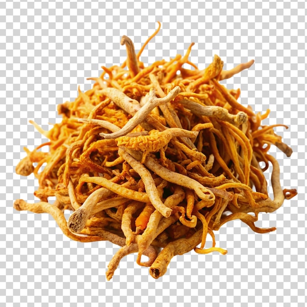 Dried cordyceps militaris mushroom Isolated on transparent background