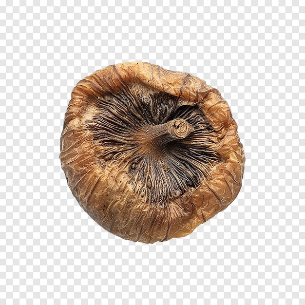 PSD dried fig isolated on a transparent background