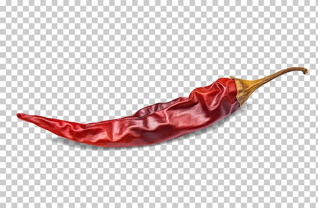 Dried red chilli isolated on transparent background png psd