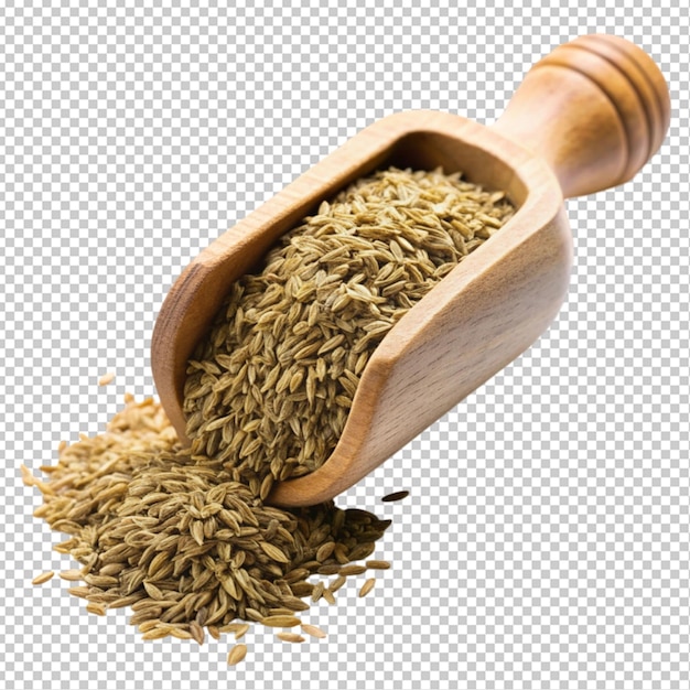 dry cumin in a scoop transparent background