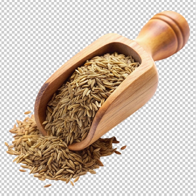 dry cumin in a scoop transparent background