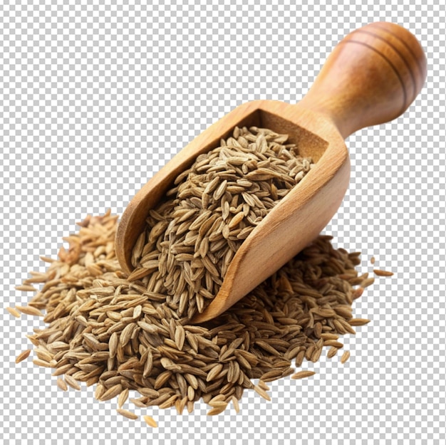 dry cumin in a scoop transparent background