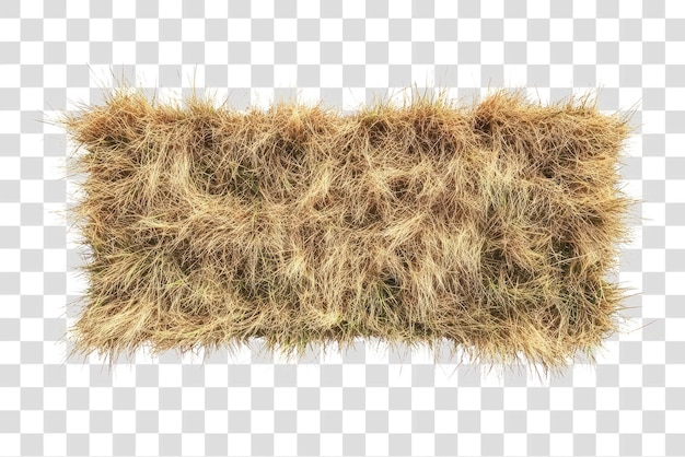 PSD dry grass texture background