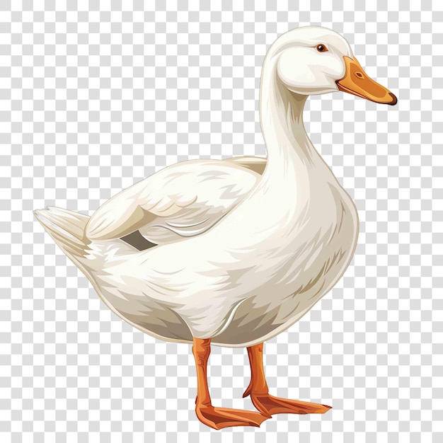 duck transparent background vector elementon transparent background