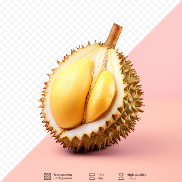 durian by itself against transparent background