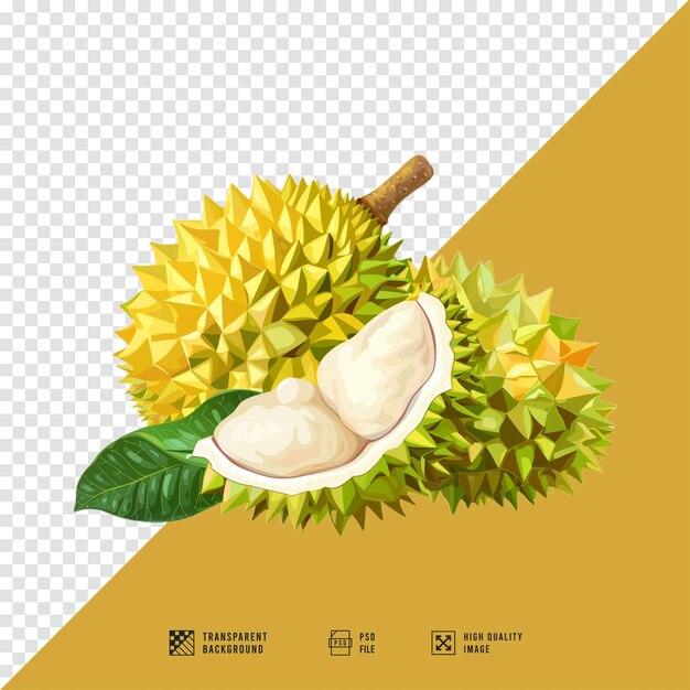 PSD durian fruit images without hd quality background