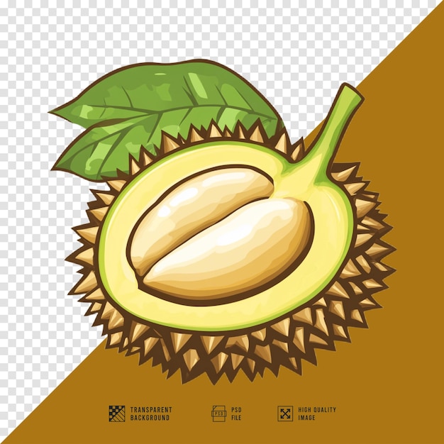 PSD durian fruit logo image without background hd quality